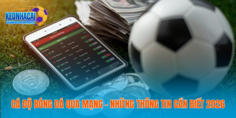 Cá Độ Bóng Đá Qua Mạng – Những Thông Tin Cần Biết 2026 1 Cá Độ Bóng Đá Qua Mạng – Những Thông Tin Cần Biết 2026